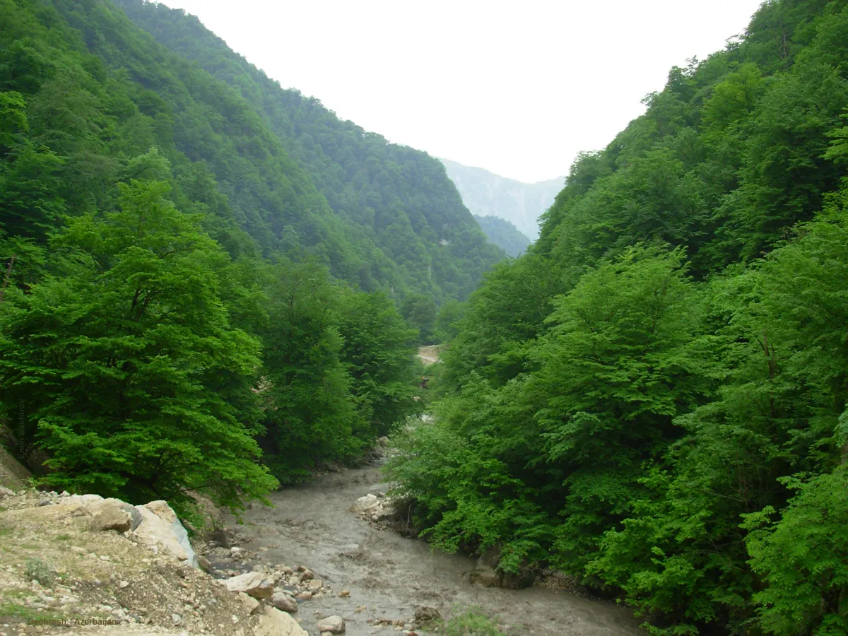 Beşbarmaq
